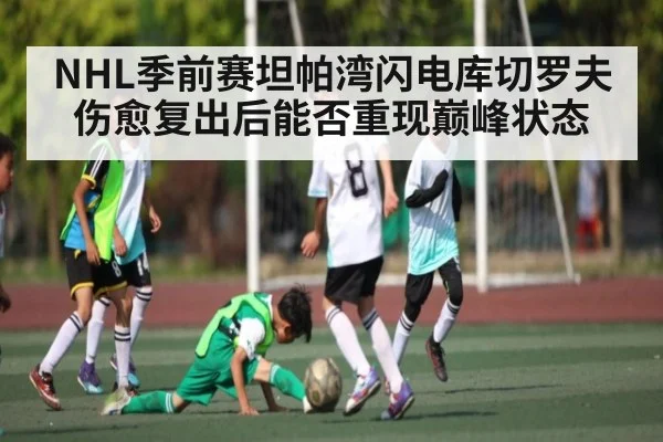 NHL季前赛坦帕湾闪电库切罗夫伤愈复出后能否重现巅峰状态 | kaiyun